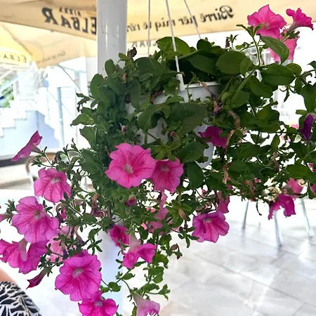 Family House & Free Parking Golem, Durres Daire *